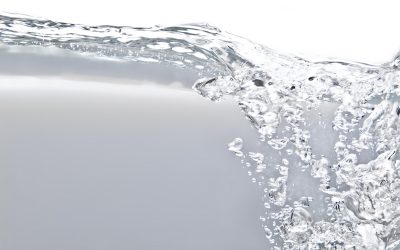 新作メモリーオイル「White Lighe」が届きました!