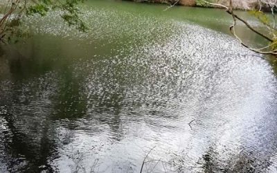 波紋をつくりたい