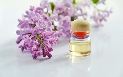 厄を祓いにいってまいりました