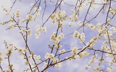 宇宙元旦はしんどかった！