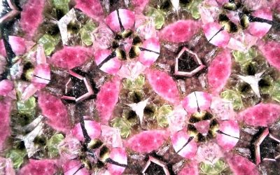 天秤座の新月の万華鏡