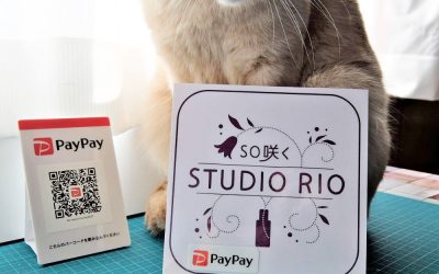 PayPayが使えます☆