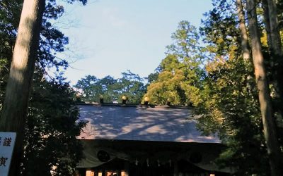 ミドルテンション