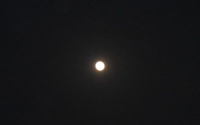 ZOOMセッションについて☆