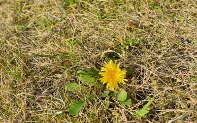 コツを掴むには・・・