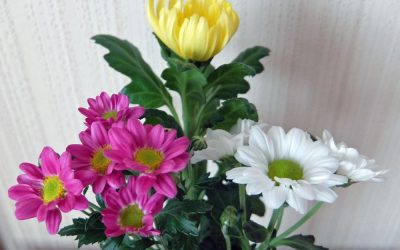 道が用意されていない自由