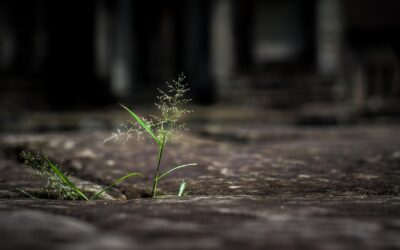 本音を語れてますか？