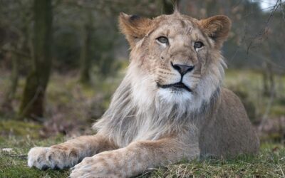 違和感は成長のサインです