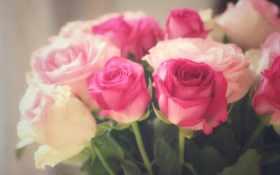 明けましておめでとうございます