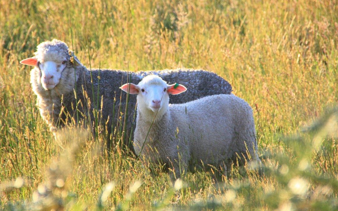 お子様の個性と、ゆっくり向き合う時間
