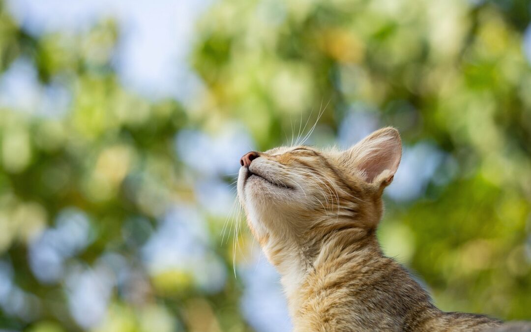 違和感のメッセージ、受け取っていますか？